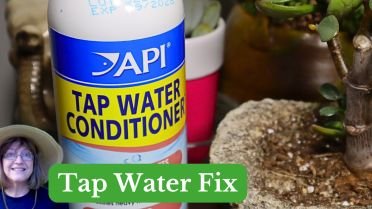 api tap water conditioner