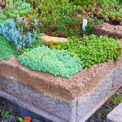 very large hypertufa trough